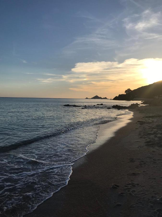 Magnifique Villa Recente Entre Mer Et Montagne Situee Entre Ajaccio Et Porticcio Cauro Esterno foto
