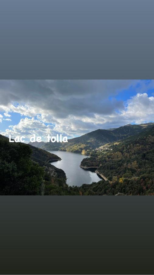 Magnifique Villa Recente Entre Mer Et Montagne Situee Entre Ajaccio Et Porticcio Cauro Esterno foto